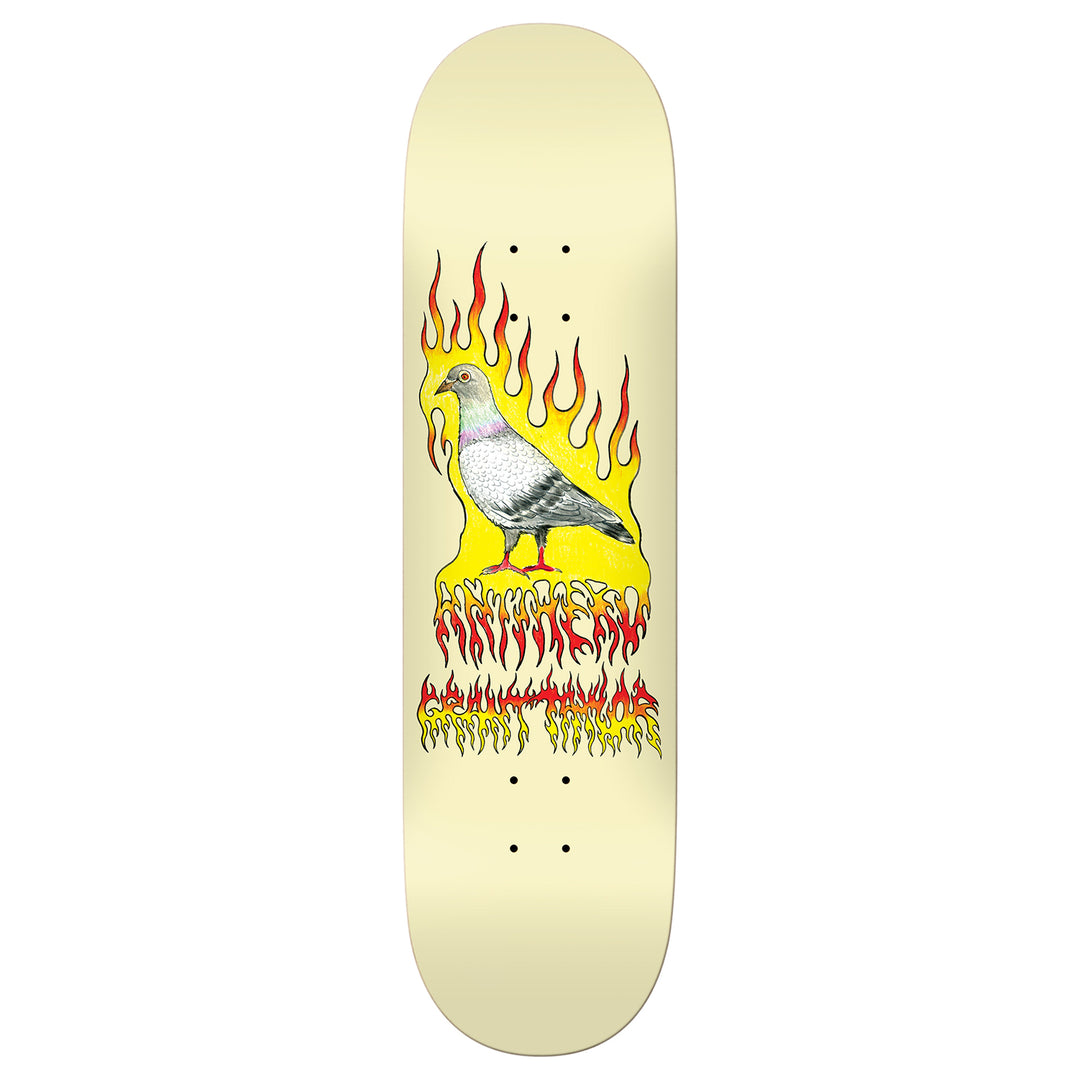 Anti Hero Grant Taylor Pigeon Vision Deck 8.25"