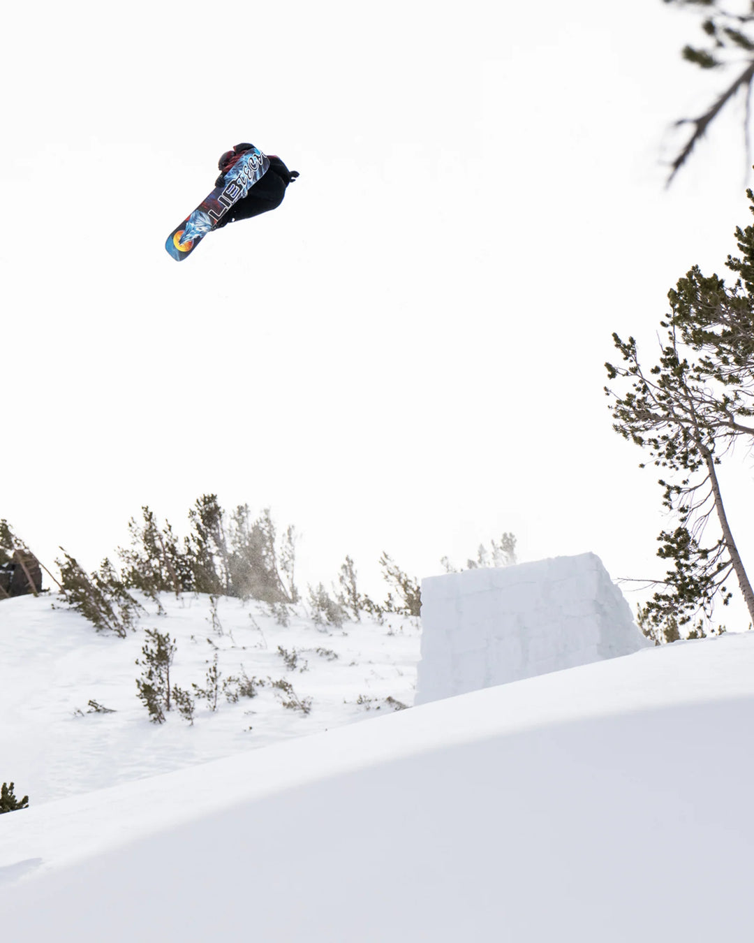 Lib Tech Dynamo Snowboard