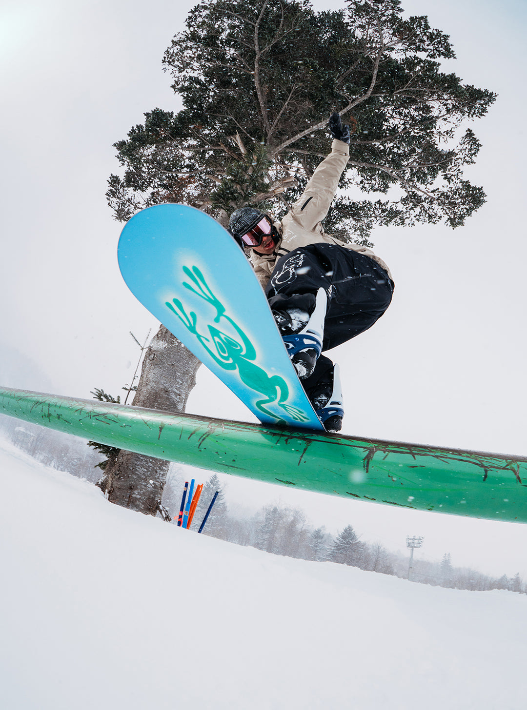 burton crocodile snowboard Burton Blossom Snowboard