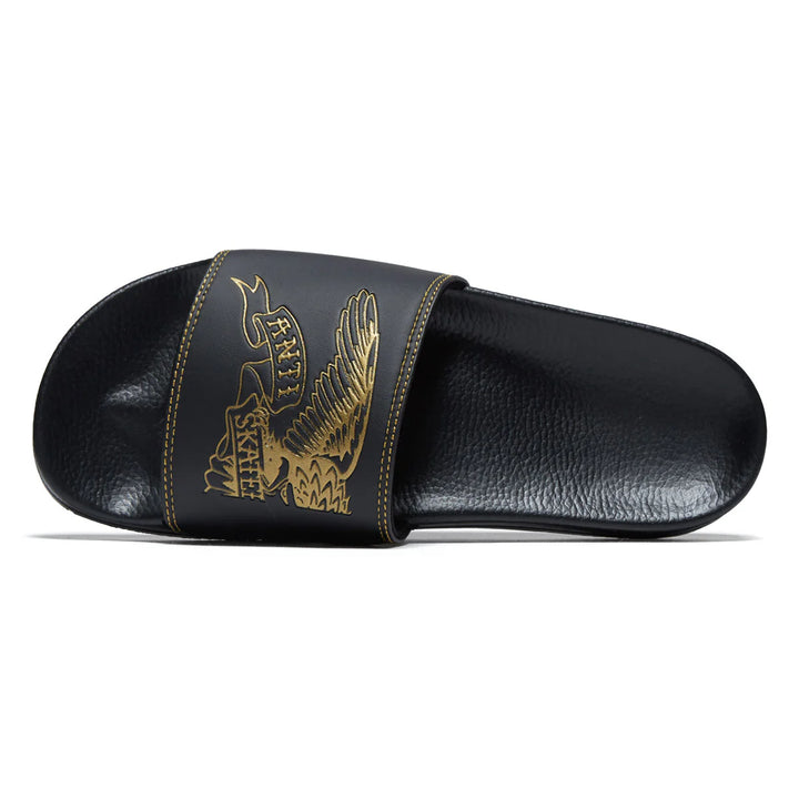 Ant-Hero Slides Basic Eagle Black/Gold