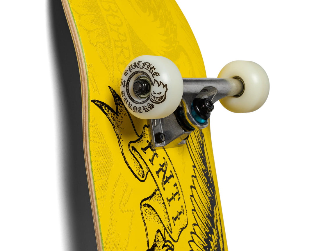 Anti-Hero Copier Eagle DLX Complete Skateboard 8.06"