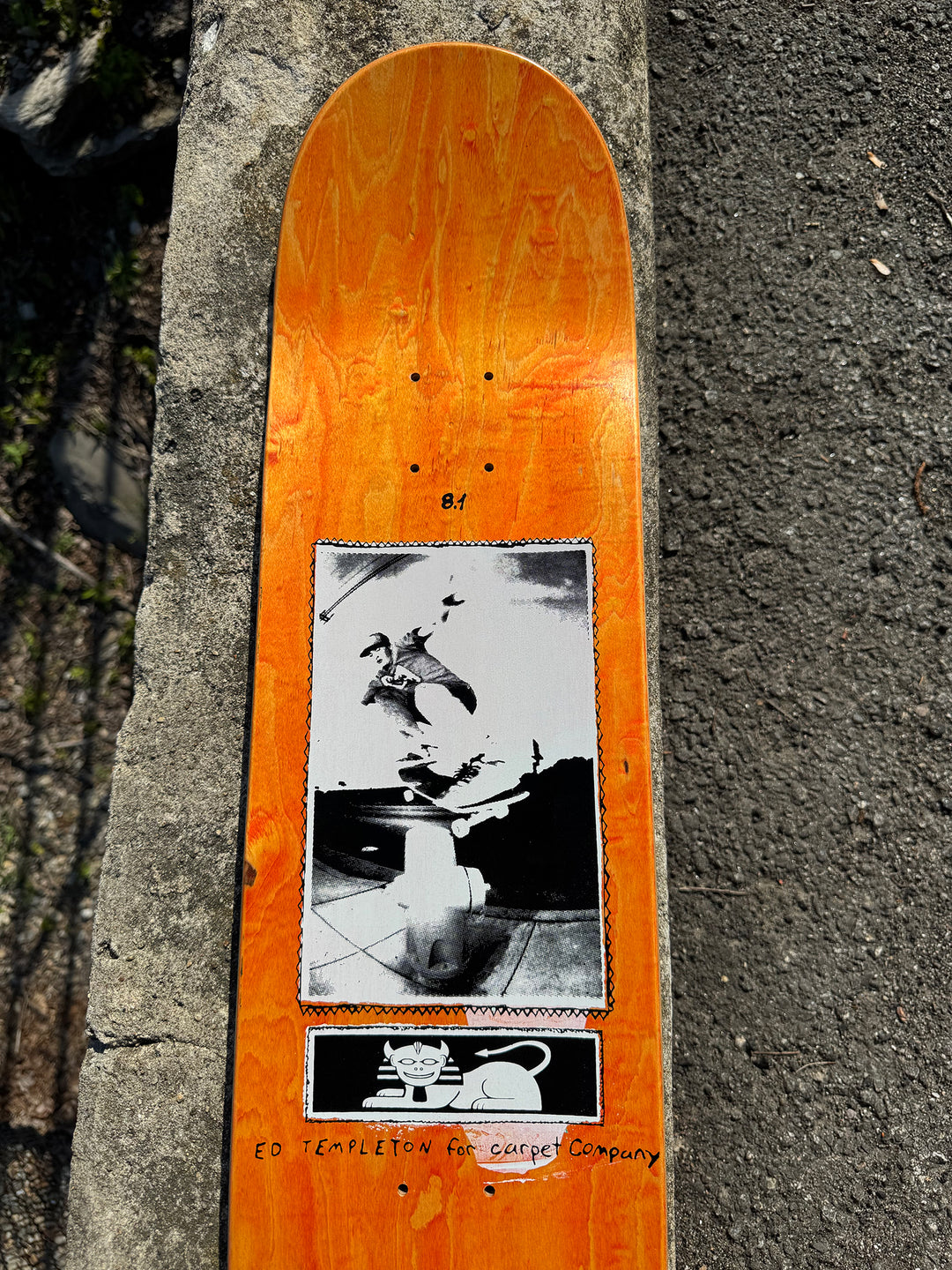 Carpet Templeton Guest Pro Deck 8.1"