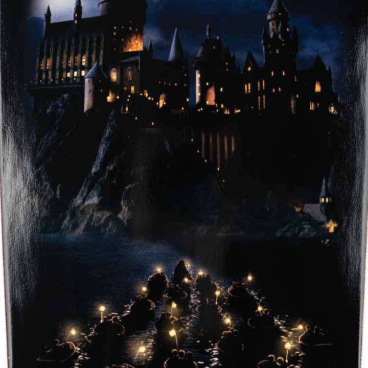 Harry Potter x Welcome Arrival On Slappy Slap Black/Gold Foil Deck 9.75"