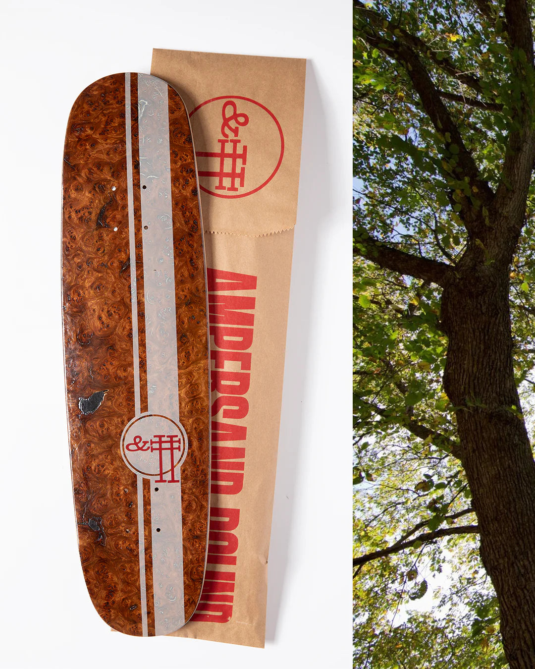 Ampersand Pound Cafe Racer Exotic Hardwood Cruiser 7.75"