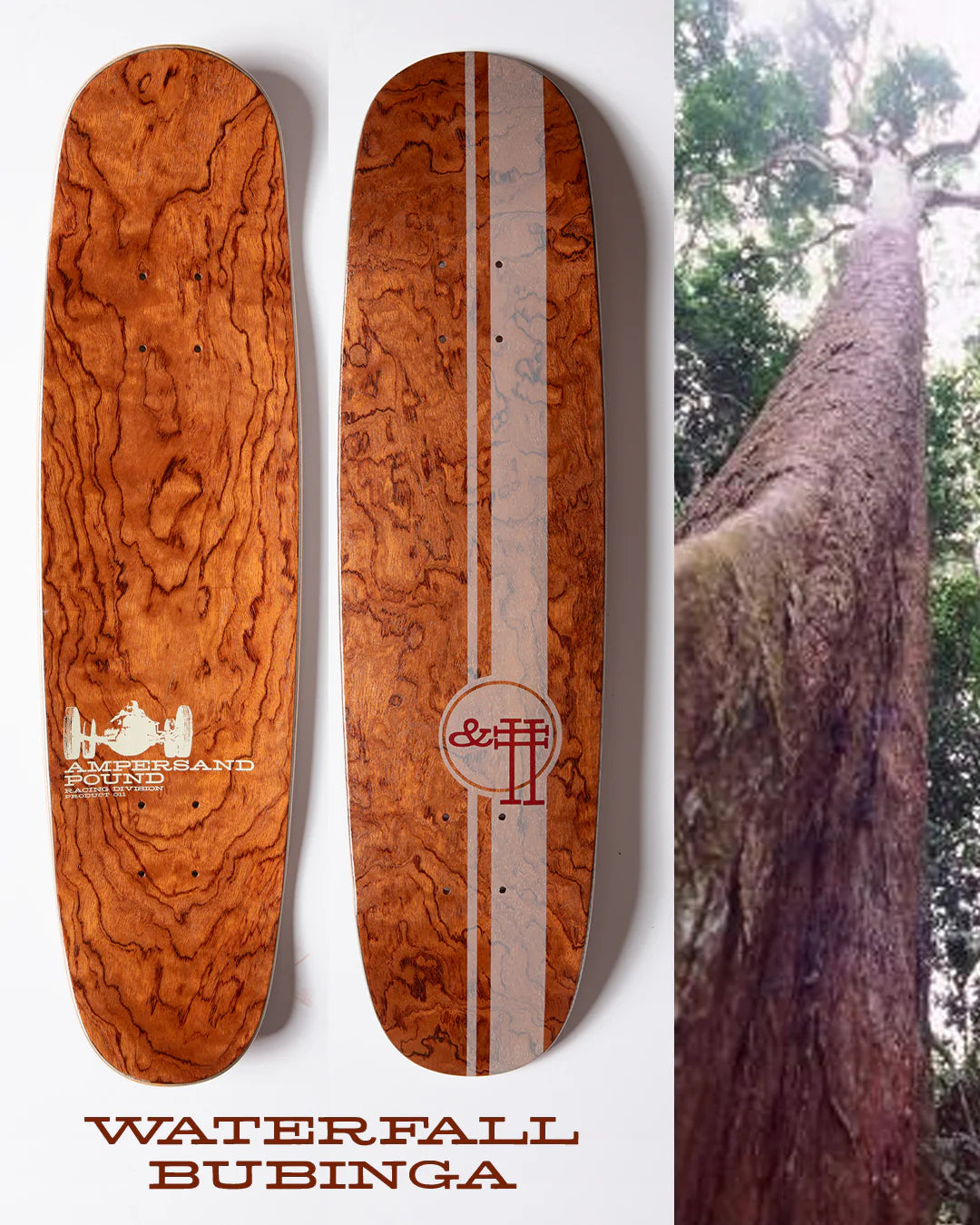 Ampersand Pound Cafe Racer Exotic Hardwood Cruiser 7.75"