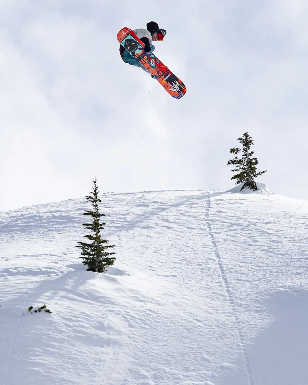 Jones Men's Rally Cat Snowboard