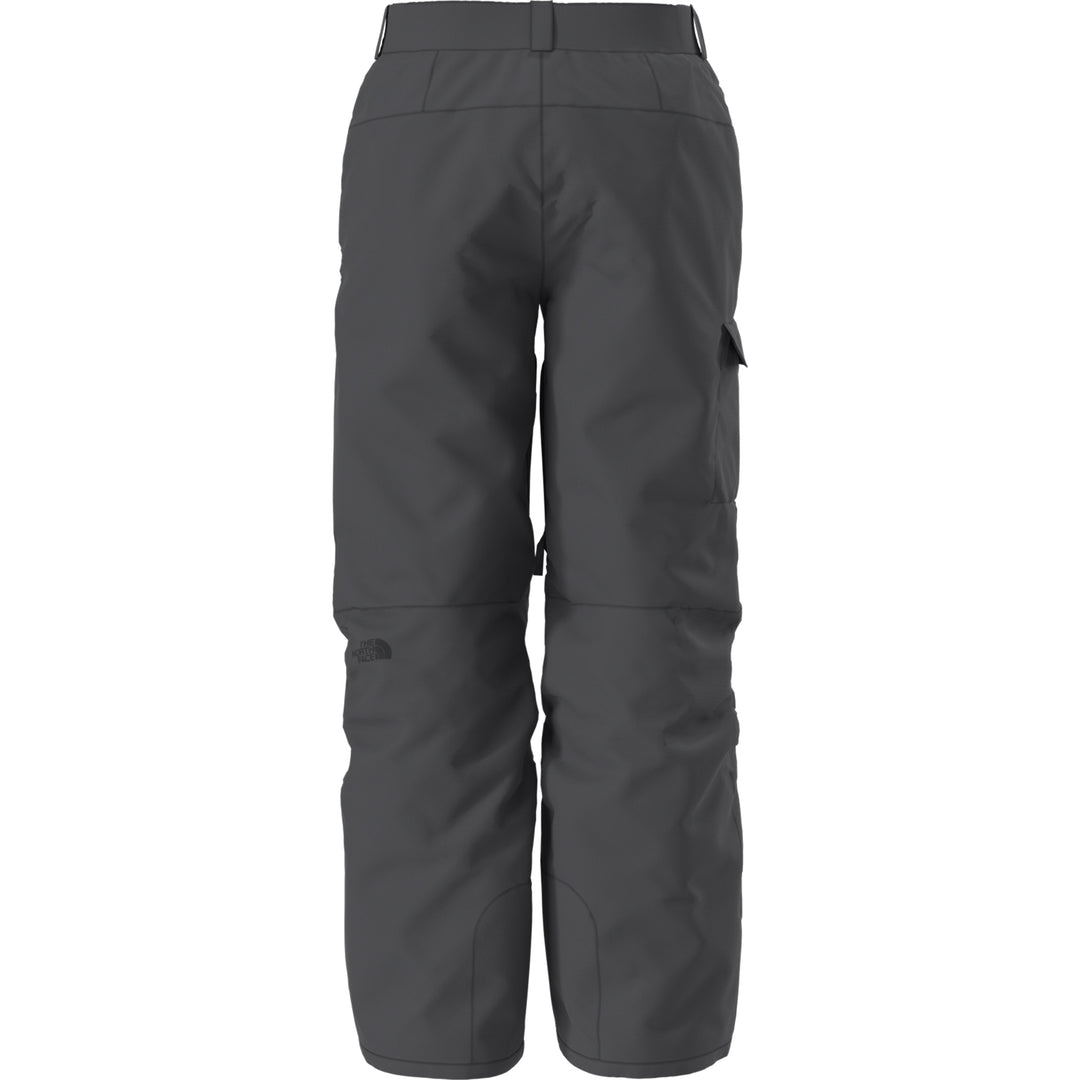 The North Face Men's Freedom Pant Asphalt Grey-NPF