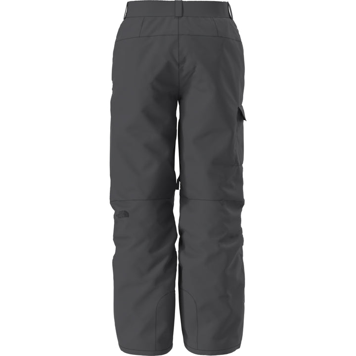 The North Face Men's Freedom Pant Asphalt Grey-NPF