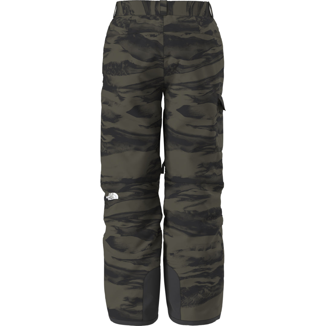 The North Face Men's Freedom Pant New Taupe Green Edge of Light Print