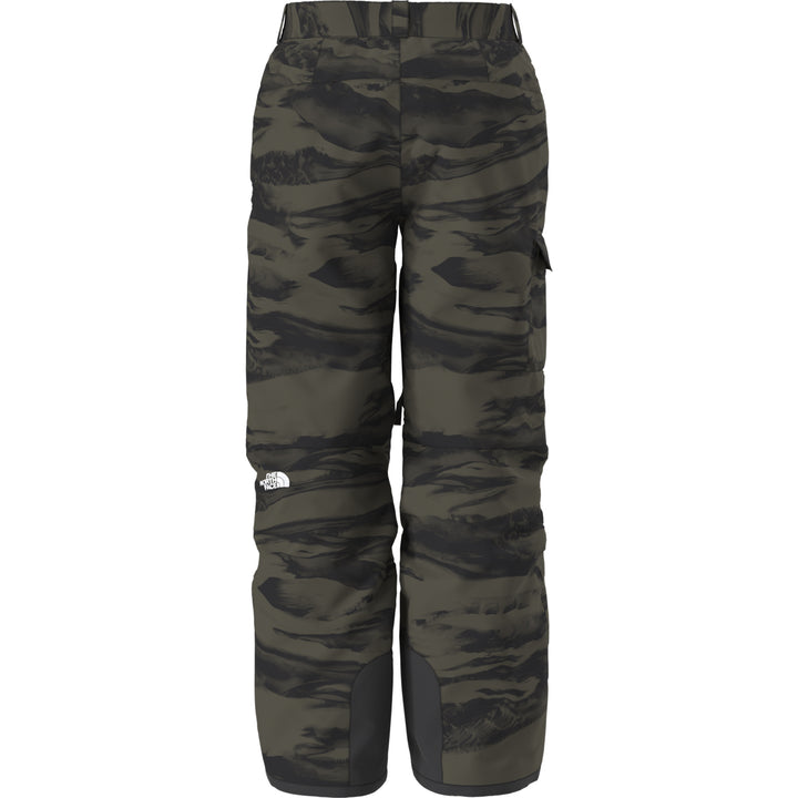 The North Face Men's Freedom Pant New Taupe Green Edge of Light Print