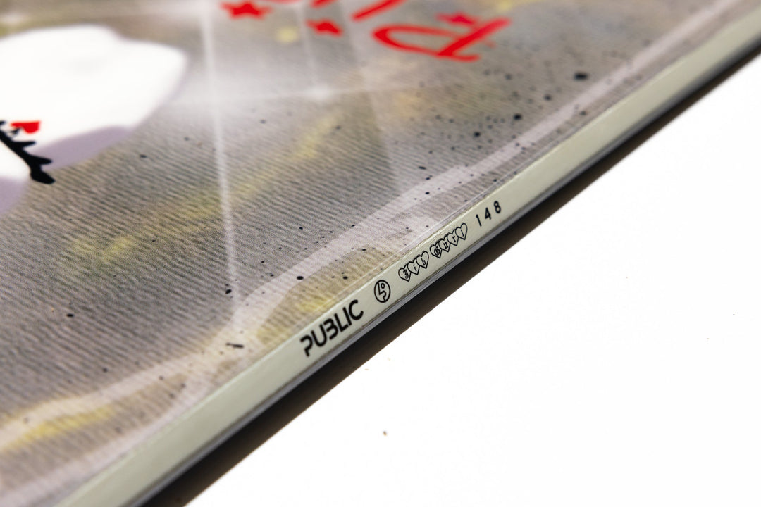 Public X Jibgurl Snowboard