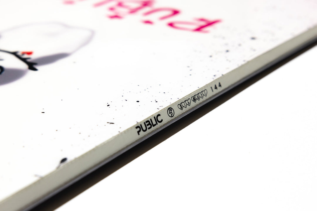 Public X Jibgurl Snowboard