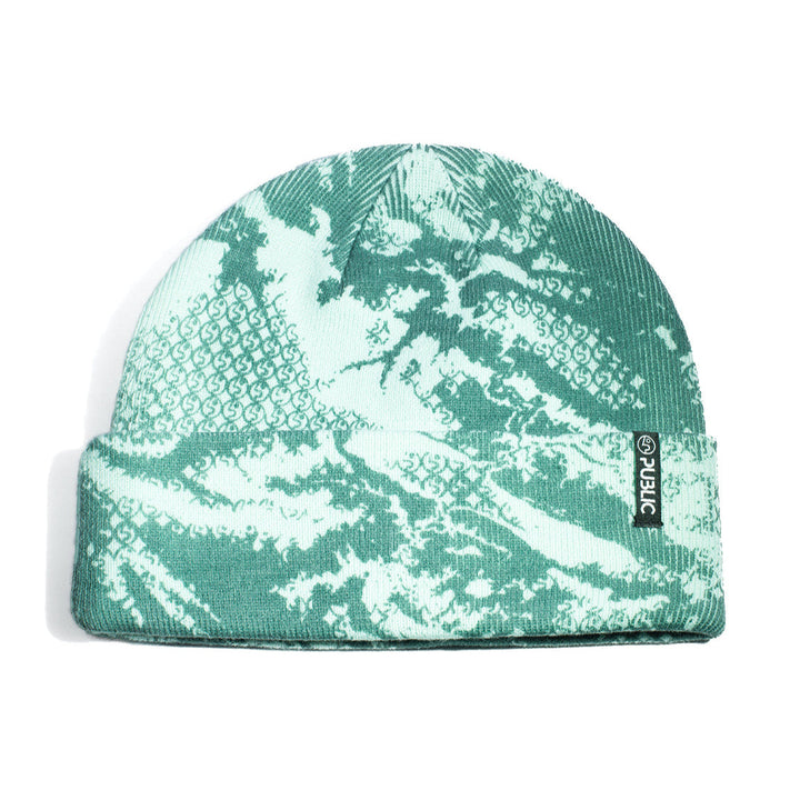 Public Research Beanie - Blue