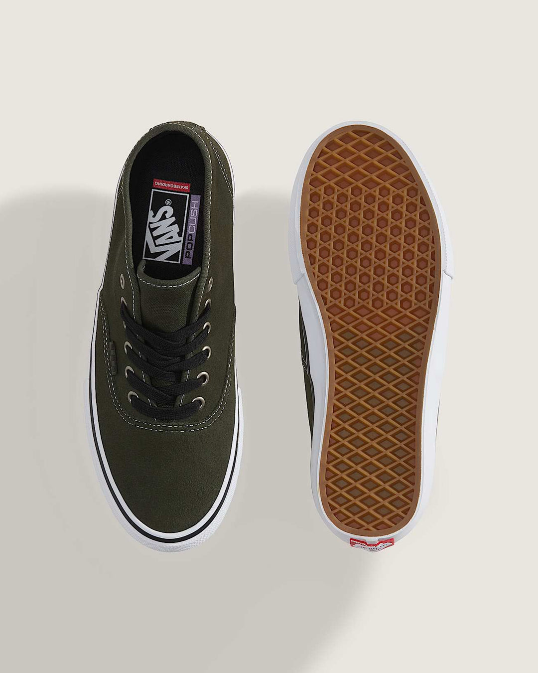 Vans Skate Authentic Mid Obsidian Fern