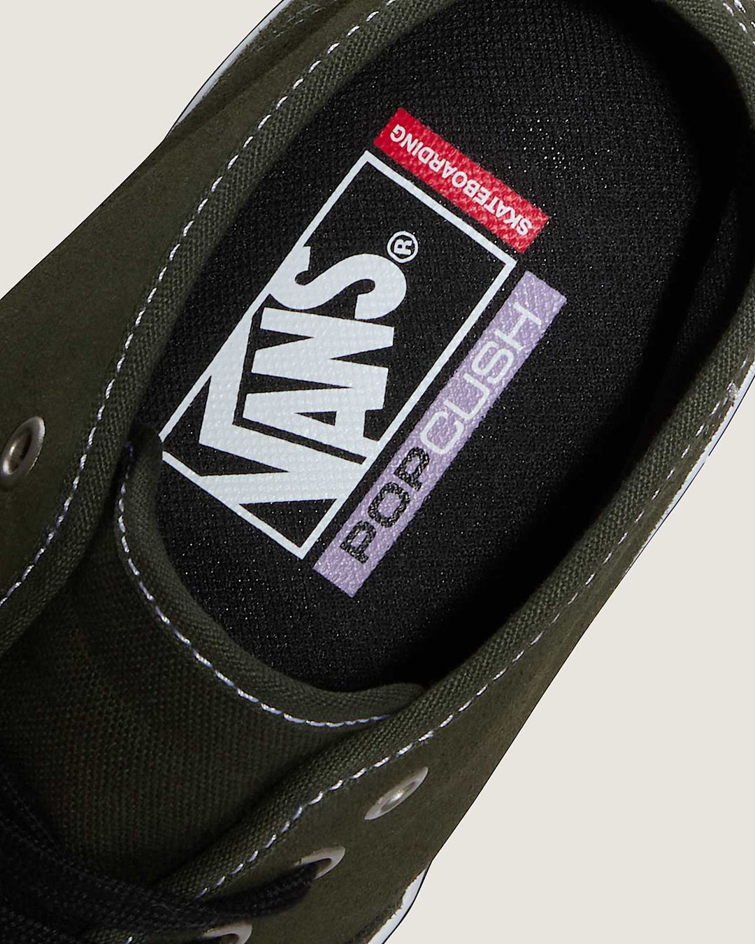 Vans Skate Authentic Mid Obsidian Fern