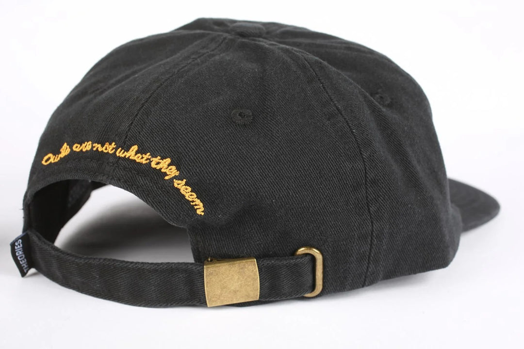 Theories Not What They Seem Strapback Hat Black