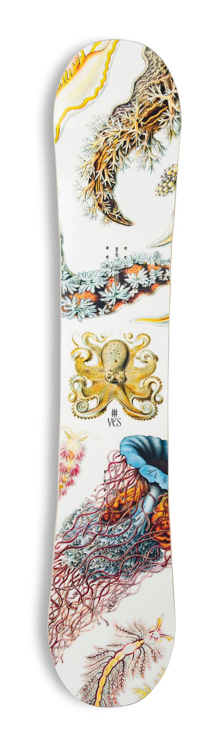 YES. Women's Hell Yes Snowboard