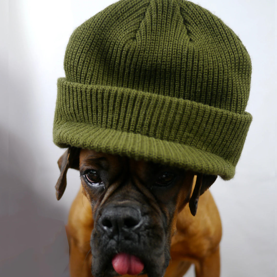 Snack Alive Jeep Beanie Olive