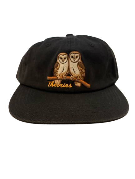 Theories Not What They Seem Strapback Hat Black