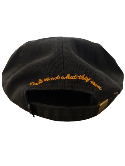 Theories Not What They Seem Strapback Hat Black