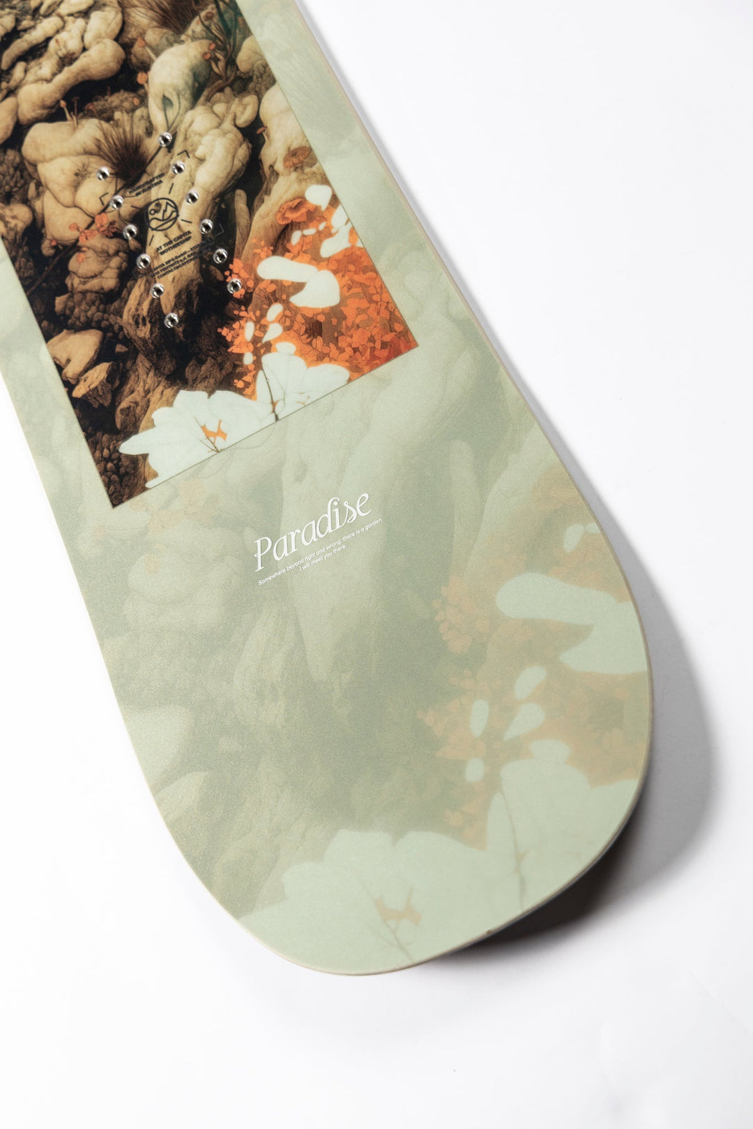 Capita Paradise Women’s Snowboard